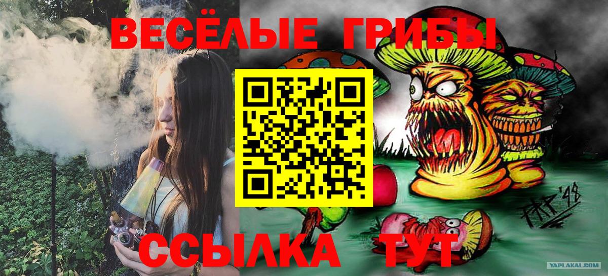 Галлюциногенные грибы MAGIC MUSHROOMS Мыски