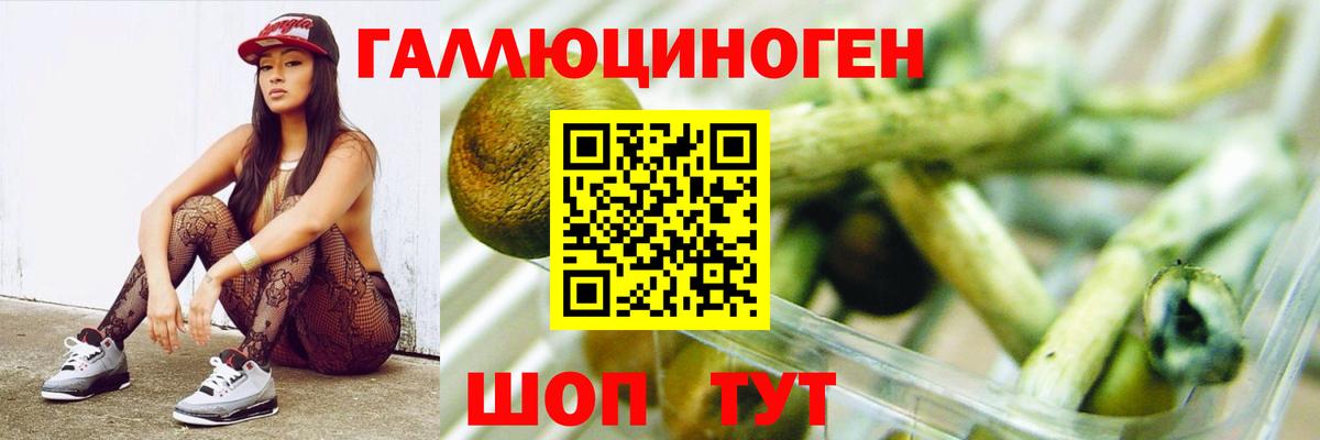 Мыски  Галлюциногенные грибы MAGIC MUSHROOMS  что такое   Вход с VPN 